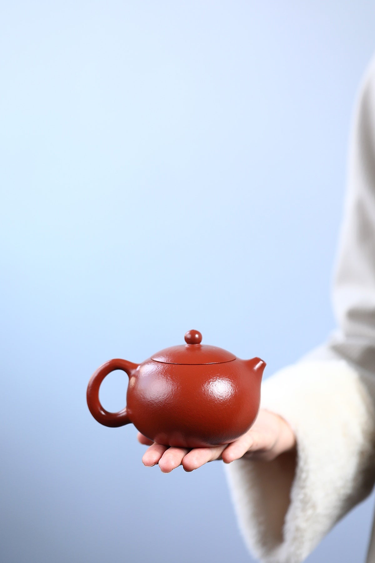Xi Shi Yixing Zisha Teapot | Coarse-Sand Zhuni Clay | Yang Jian | 130cc